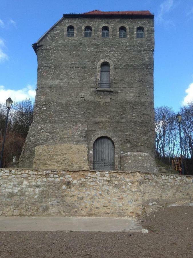 Ferienwohnung Ratstraße im Kyffhäuser - krumm&schief Bad Frankenhausen/Kyffhäuser Exterior foto